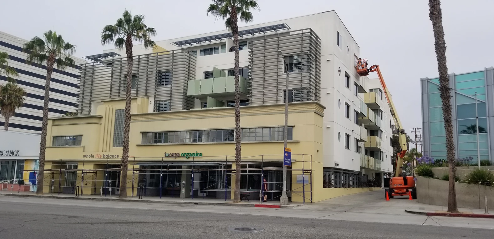 Arezzo Santa Monica CAS Building Specialists